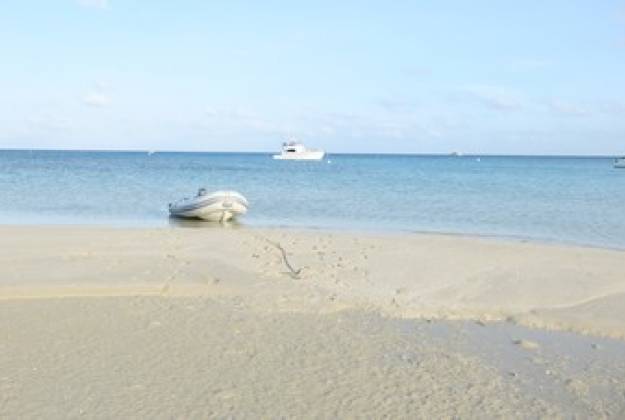 island excursion